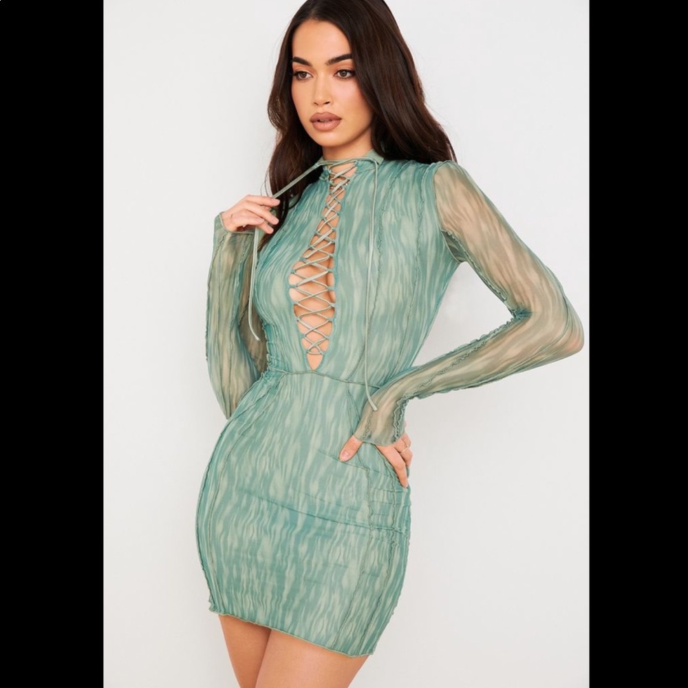 Mesh ‘Dylan’ Ivy House of CB dress
